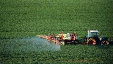 Campagne agricole à Marrakech-Safi : des indicateurs en amélioration grâce aux précipitations