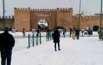La neige de retour à Oujda après plusieurs années d'absence