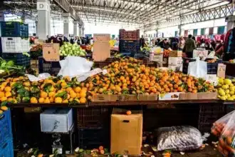 Marchés de gros de Casablanca : stabilité globale des prix au 7 janvier 2026