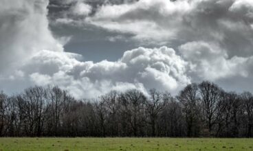 Les prévisions météo pour ce vendredi 16 janvier