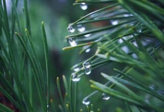 Voici les cumuls de pluie enregistrés au cours des dernières 24 heures