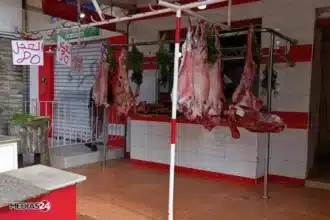 Viandes rouges à Marrakech-Safi : infrastructures vétustes et contrôle sanitaire défaillant