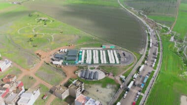 Inondations de Ksar El Kébir : barrages saturés et nouvelles pluies, la crainte d’un scénario irréparable