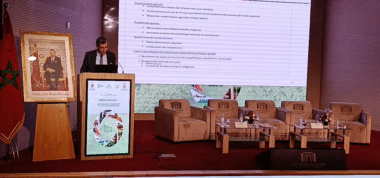 Emploi agricole : &ldquo;États des lieux, déterminants et leviers de préservation&rdquo;