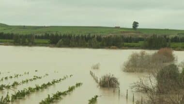 Floods and heavy rains: damage to farms, gains for water reserves