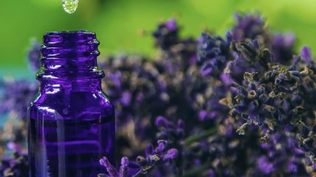 D’ici 2032, le marché mondial des cosmétiques d'inspiration marocaine devrait dépasser les 3 milliards de dollars