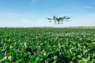 Cosumar mise sur l’IA et le Big Data pour un pilotage agro-industriel décarboné et performant