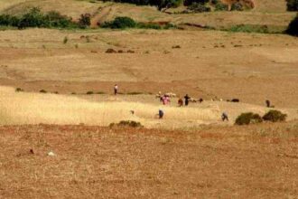 Expropriation pour utilité publique : délais réduits, nouvelles règles… ce que prévoit une nouvelle réforme