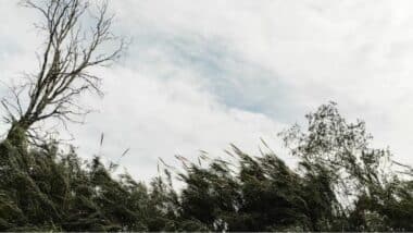 Les prévisions météo pour le jeudi 5 mars