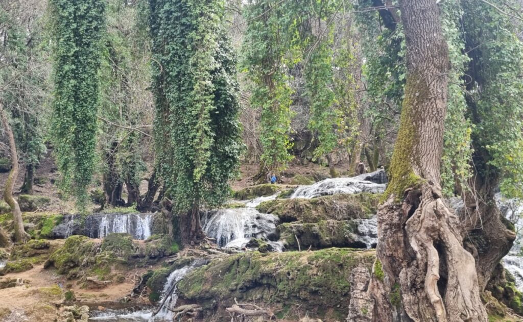 Hiver 2025-2026 au Maroc parmi les plus pluvieux depuis 1981, selon la Direction de la météorologie