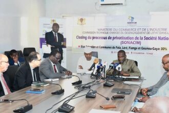 Ciment. Le groupe marocain CIMAF s’offre la principale cimenterie du Tchad