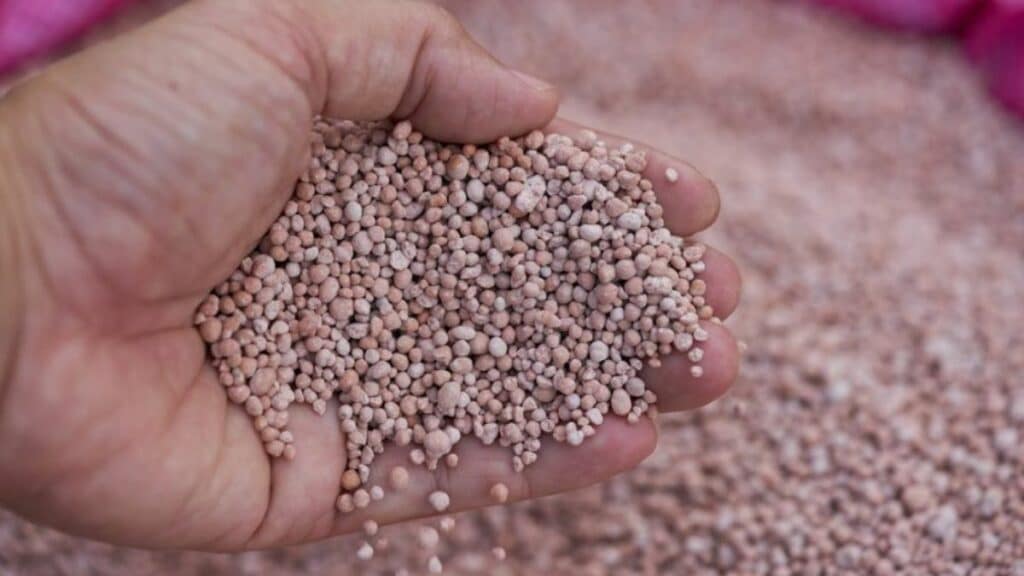 Engrais. Sous pression à cause du blocus d’Ormuz, l’Inde se tourne massivement vers le Maroc