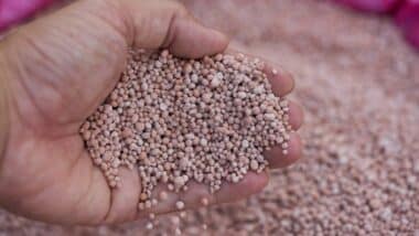 Engrais. Sous pression à cause du blocus d’Ormuz, l’Inde se tourne massivement vers le Maroc