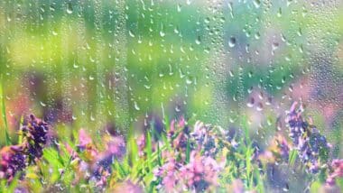 Printemps 2026 : la météo au Maroc entre fraîcheur persistante et épisodes pluvio-orageux