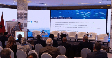 Le rôle des régions dans le développement des clusters maritimes