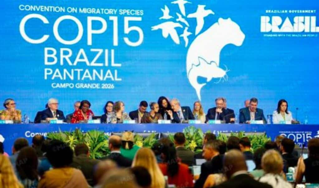 Le Maroc élu au Comité permanent de la CMS, au cœur de la gouvernance mondiale des espèces migratrices.