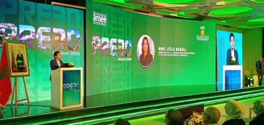 Les Plans régionaux d'efficacité énergétique et de décarbonation : horizon 2030