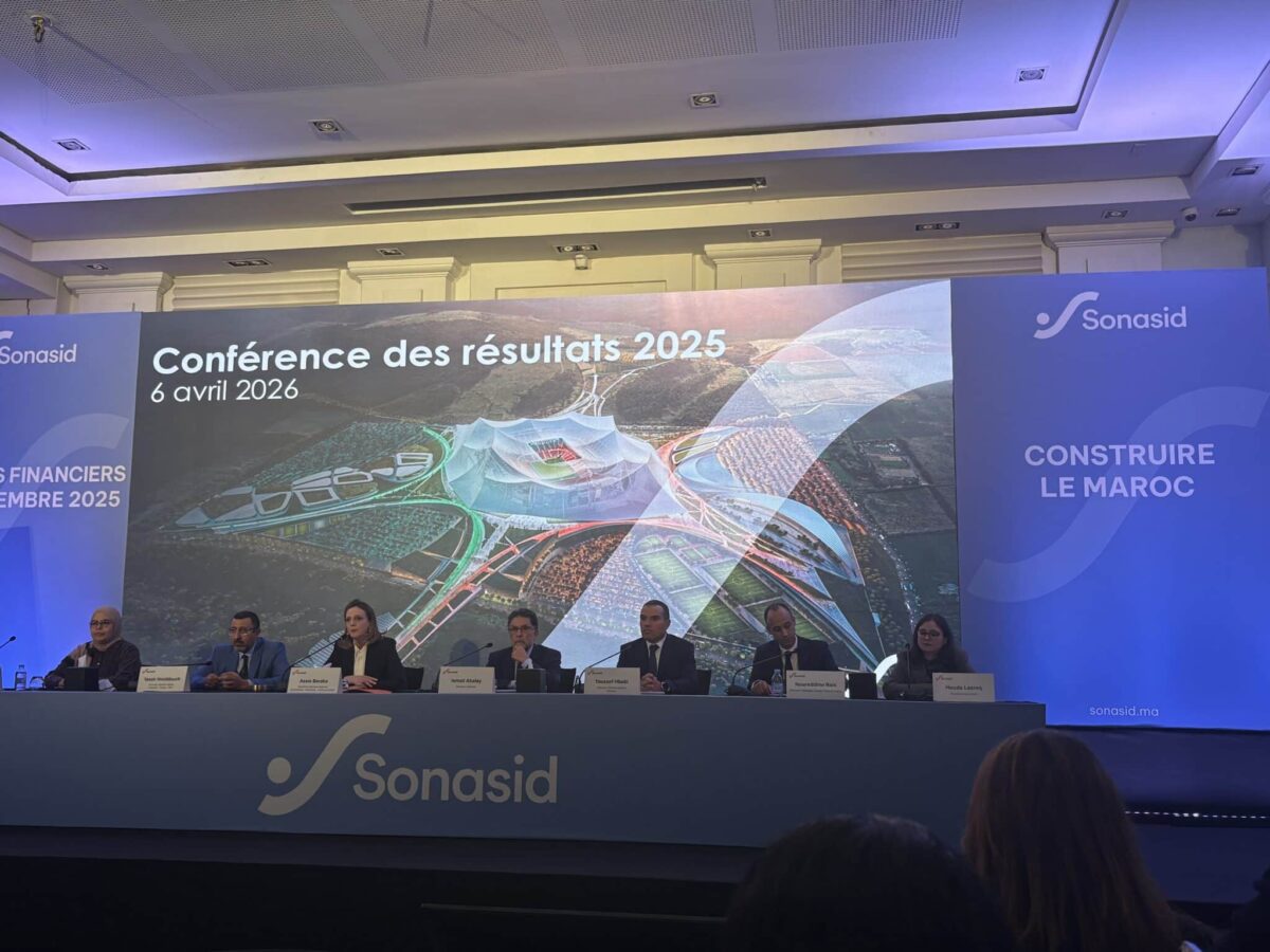 Sonasid, Résultats annuels