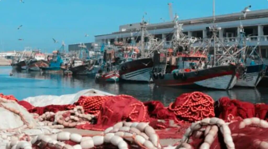 Pêche maritime : lancement d’un numéro vert pour consolider l’intégrité et la bonne gouvernance.