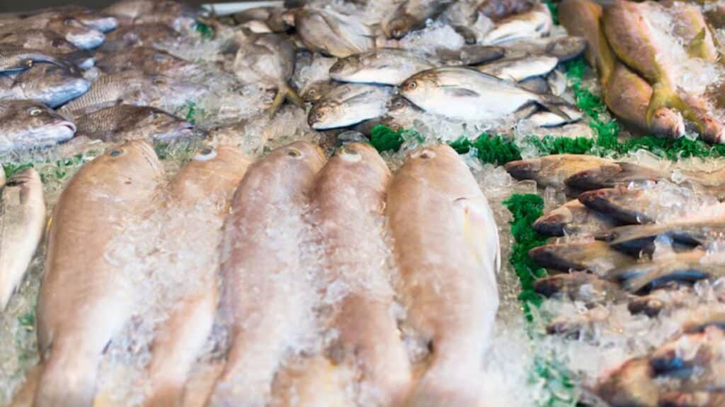 un réseau national de vente de Poisson congelé pour réguler les prix toute l’année