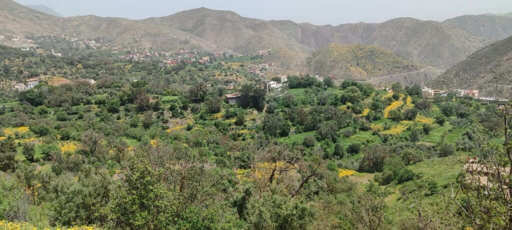 Reportage.Tigouliane change de visage après une pluviométrie exceptionnelle