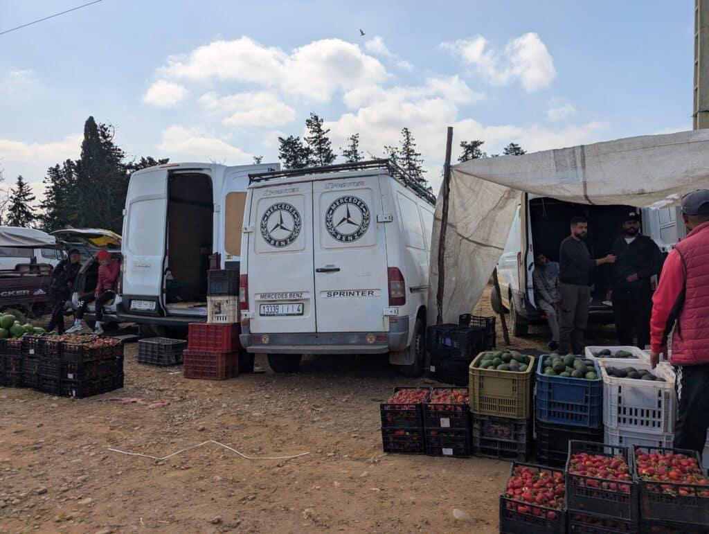 Report. In Gharb-Loukkos, the strawberry is losing ground