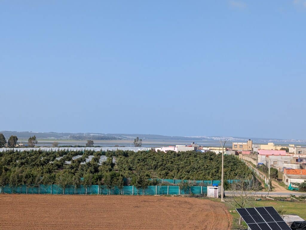 Report. In Gharb-Loukkos, the strawberry is losing ground