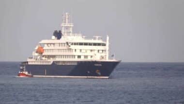 Hantavirus : ce que l'on sait de la souche mortelle qui frappe à bord du MV Hondius